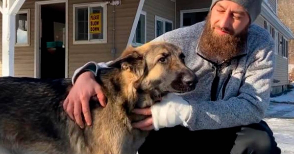 Historias de dueños: cómo me salvó el seguro de mi perro