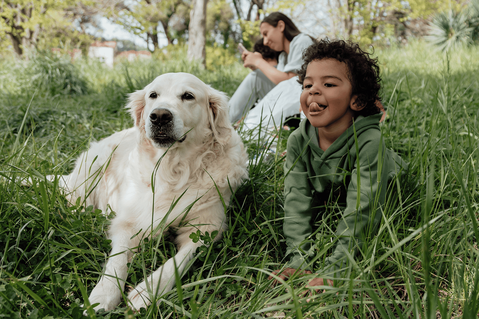 Precio Seguro Mascotas