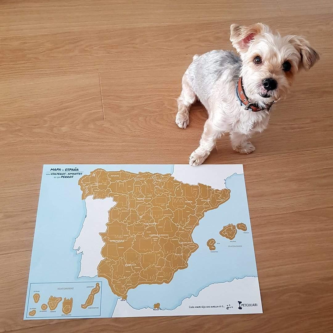 Seguro de mascotas por provincias: ¿Dónde es más barato?🗺️
