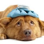 Testimonios reales en España